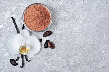 Bir çiçek, kakao tozu ve fasulye gri beton zemin üzerine pişirme için madde olarak vanilya pods