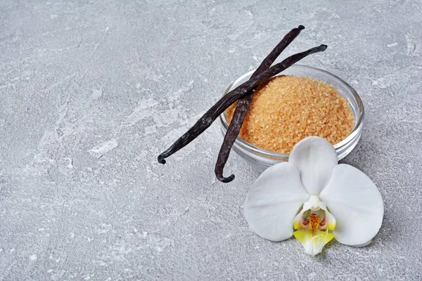 Vanilla pods with a flower and brown cane sugar as ingredient for baking on gray concrete background
