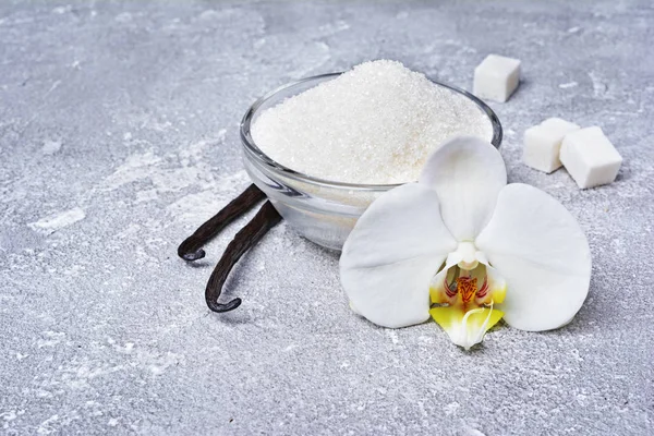 Vanilla Pods Flower Sugar Ingredient Baking Gray Concrete Background — Stock Photo, Image