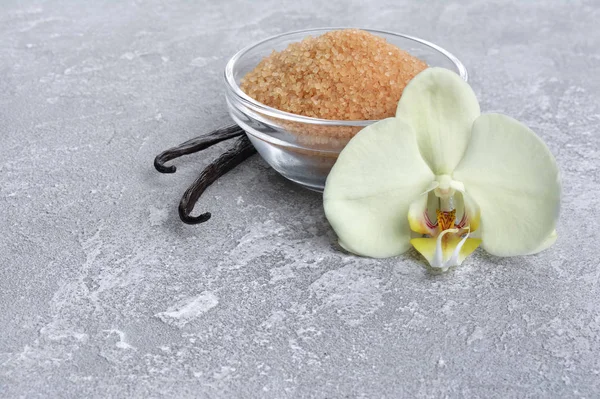 Vanilla Pods Flower Brown Cane Sugar Ingredient Baking Gray Concrete — Stock Photo, Image