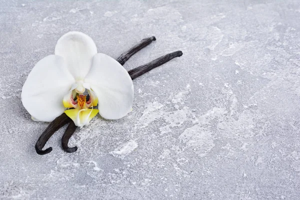 Vanilkové Lusky Květinou Jako Přísada Pečení Šedém Pozadí Betonové — Stock fotografie