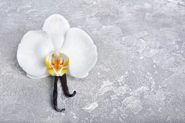 Vanilleschoten Mit Einer Blume Als Zutat Zum Backen Auf Grauem — Stockfoto