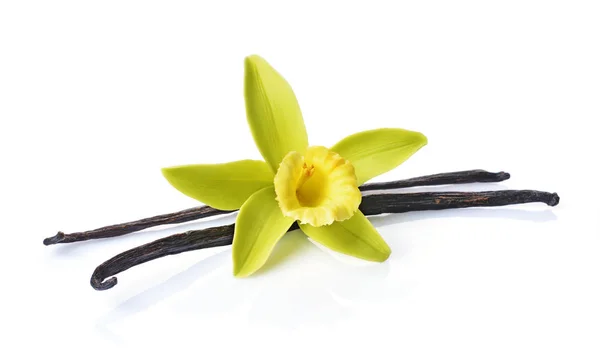 Strąki wanilii z kwiatem jako składnik do pieczenia — Zdjęcie stockowe
