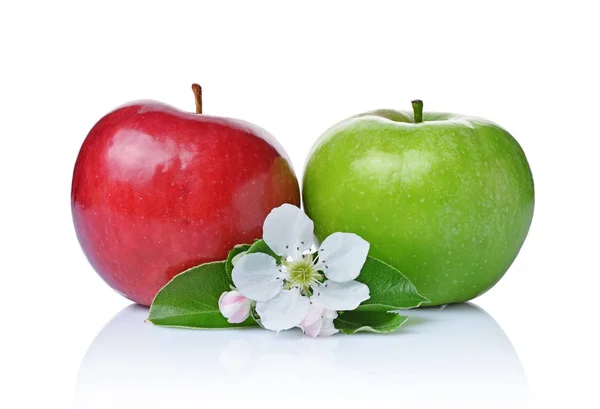 Perfecte verse rijpe groene en rode appels met bladeren en Lentebloemen — Stockfoto