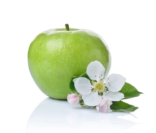 Perfecte verse rijpe groene appel met bladeren en Lentebloemen — Stockfoto