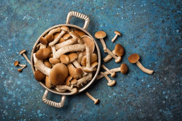 Forest mushrooms in vintage frying serving pan — Stok fotoğraf