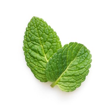 Taze nane yaprakları üzerinde beyaz izole