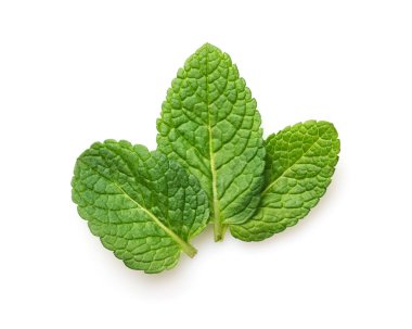 Taze nane yaprakları üzerinde beyaz izole