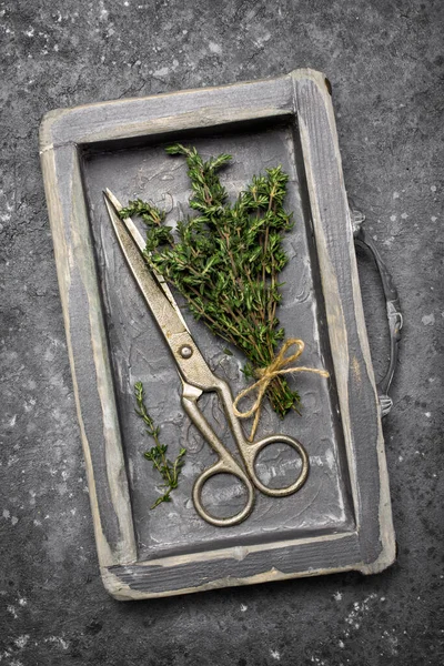 Kitchen Herb Green Thyme Healthy Food Old Drawer Gray Concrete — Stock Photo, Image