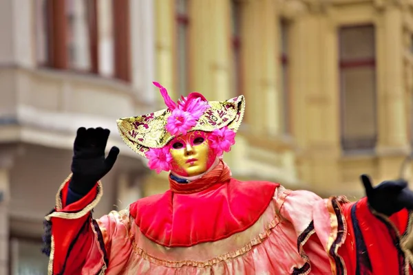 Lodz Daki Lodz Polonya Karnavalı Son Karnaval Haftası Boyunca Piotrkowska — Stok fotoğraf