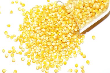 Beyaz arka planda mısır. yaratıcı fotoğraf