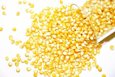 Beyaz arka planda mısır. yaratıcı fotoğraf