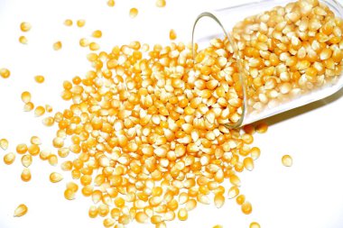 Beyaz arka planda mısır. yaratıcı fotoğraf