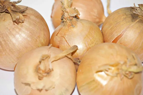 Whole Onion Pieces Onion White Back Ground — Stock Photo, Image
