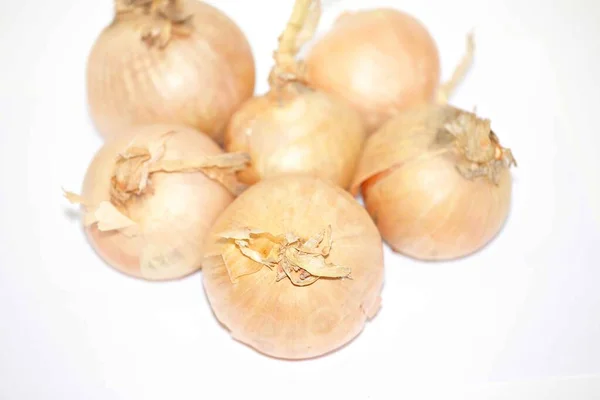 Ganze Zwiebeln Und Zwiebelstücke Mit Weißem Boden — Stockfoto