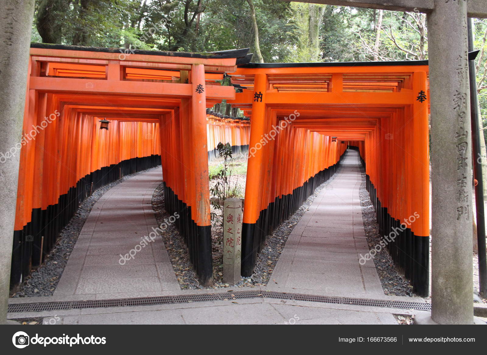 Torii Gates Fushimi Inari Shrine Fushimi Inari Taisha Kyoto Japan Stock Editorial Photo C Photo7stars Gmail Com Torii Gates Fushimi Inari Shrine Fushimi Inari Taisha Kyoto Japan Stock Editorial Photo C Photo7stars Gmail Com
