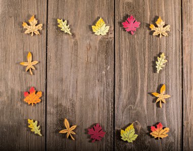 sınır sonbahar yaprakları