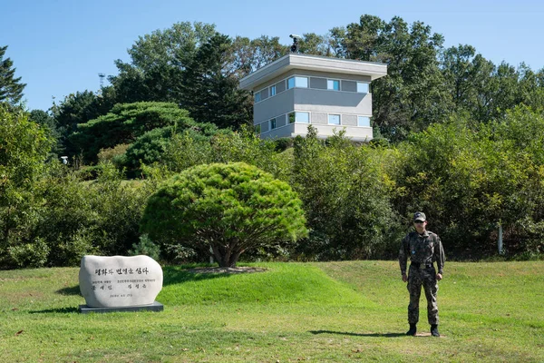 Символическое дерево межкорейского саммита 2018 года и солдат у бора — стоковое фото