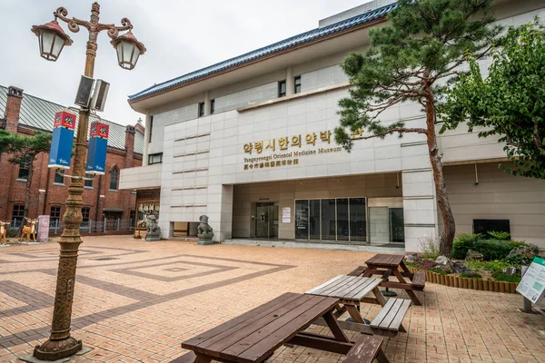 Daegu Yangnyeongsi ανατολίτικη ιατρική μουσείο μπροστά άποψη στο Daegu — Φωτογραφία Αρχείου