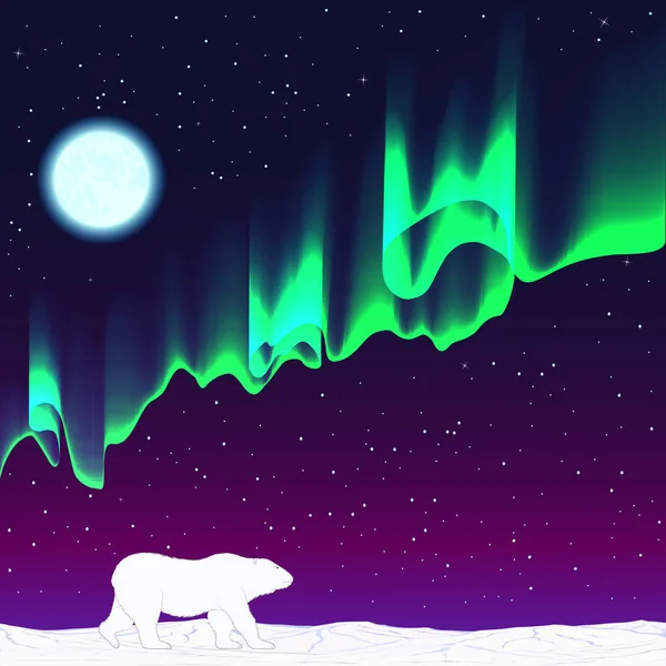 Noc polarna, aurora, niedźwiedź polarny — Wektor stockowy