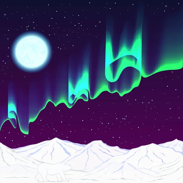 Noc polarna, aurora, niedźwiedź polarny — Wektor stockowy