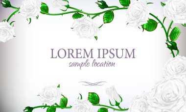 Metni kartı veya davetiye ile beyaz gül buketi