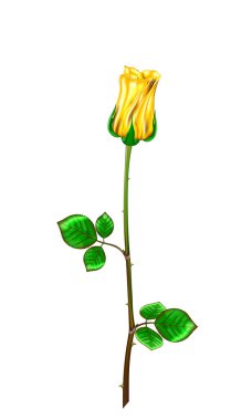 Golden rose kök ve yaprakları üzerinde beyaz bir arka plan ile. Vektör 