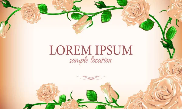 Metni bir kart veya davetiye ile krem gül buketi