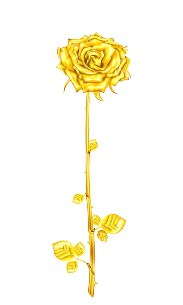 Vintage rose golden με στέλεχος και τα φύλλα σε λευκό φόντο. — Διανυσματικό Αρχείο