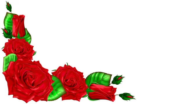 Het boeket van rode rozen met bladeren en toppen — Stockvector