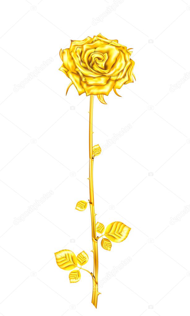 Vintage golden rose with stem and leaves on a white background.