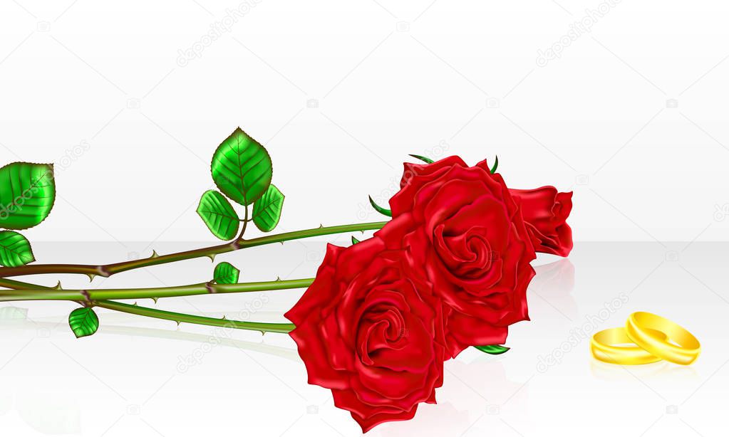 Bouquet of roses with wedding rings. Vector illustration