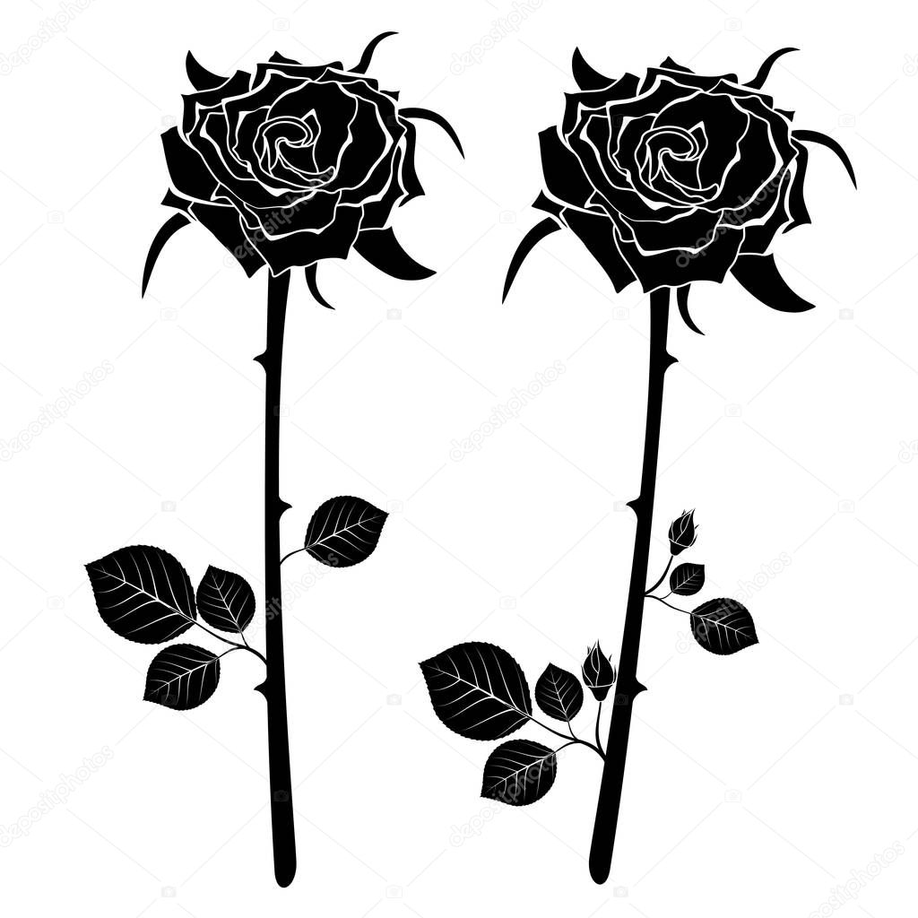 A set of icons of two black roses. Vector illustration