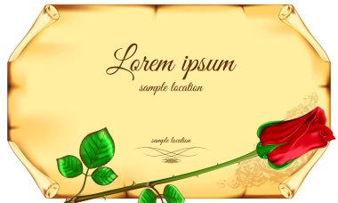 Eski kağıt arka planı kırmızı gül