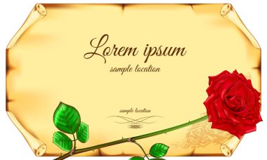 Eski kağıt arka planı kırmızı gül