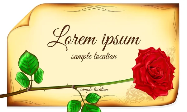 Eski kağıt arka planı kırmızı gül