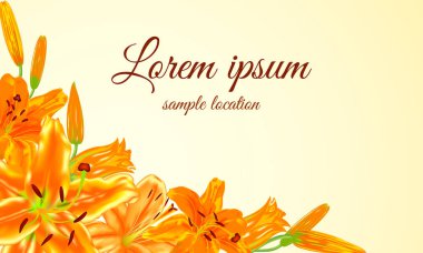 Kartları için krem bir arka plan üzerinde turuncu lilyum çiçek