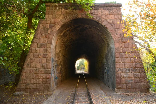 Old train tunnel with railway in a mountain