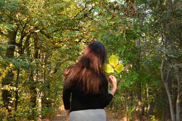 Flicka Höstskogen Håller Löv Händerna — Stockfoto