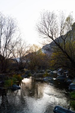 Dağlı ve ağaçlı güzel sonbahar manzarası