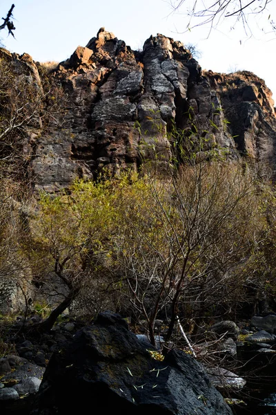 Fantastisk Natur Berg Och Träd — Stockfoto