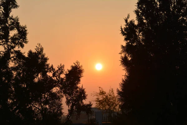 Atardecer Naranja Mágica Sobre Árboles — Foto de Stock