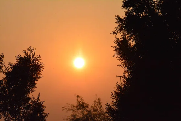 Piękny Pomarańczowy Zachód Słońca Nad Drzewami — Zdjęcie stockowe