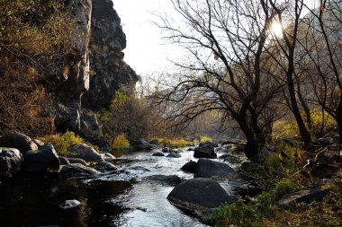 Güzel dağları, ağaçları ve nehri olan peri masalı ormanı.