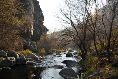 Güzel dağları, ağaçları ve nehri olan güzel bir orman.