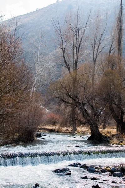 Paysage Pittoresque Avec Rivière Arbres — Photo