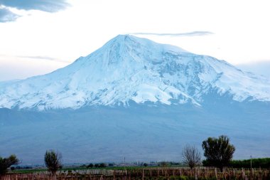 Ararat Dağı. İncil 'deki sönmüş bir volkan olan dağın yamaçları. Büyük Ararat, Masis.
