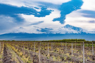 Meşhur Ararat Dağı, Ermenistan 'ın sembolü