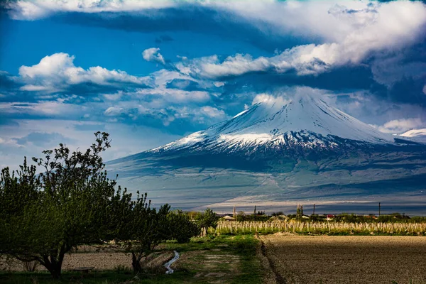 Ararat Dağı Ararat Dağı Ile Güzel Manzara — Stok fotoğraf