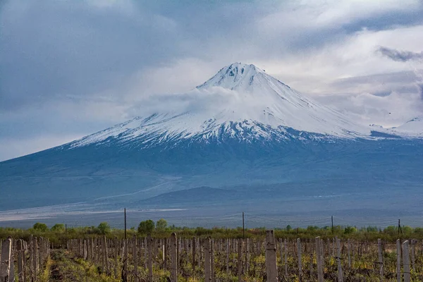 Ararat Die Hänge Des Biblischen Berges Der Ein Erloschener Vulkan — Stockfoto